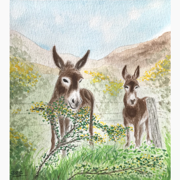 Two little donkeys Rosnakill